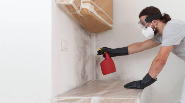 Professional Mold Removal technician working in Martinsville, VA