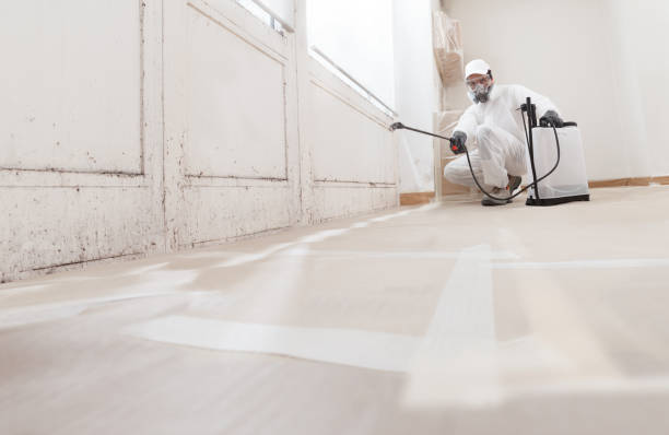 24/7 Emergency Mold Removal experts in Martinsville, VA