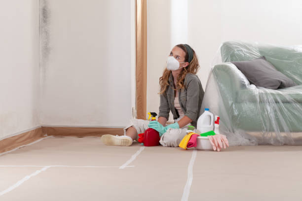 Reliable Mold Removal contractor in Martinsville, VA by WQB Mold Removal