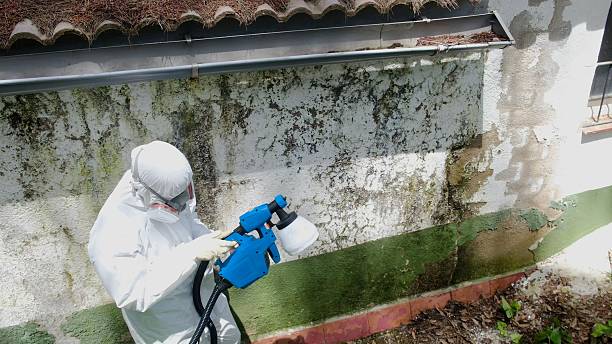 Top rated local Mold Removal specialists in Martinsville, VA